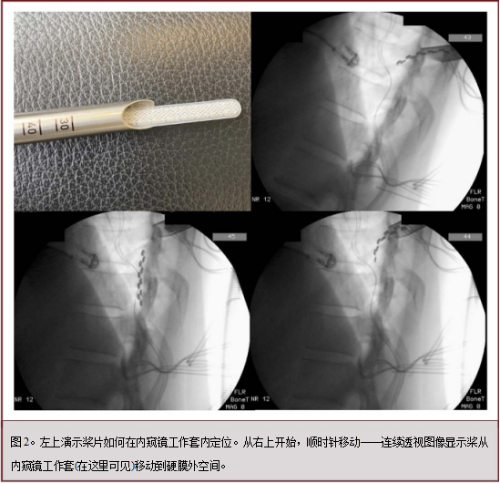 圖片3.png 圖片3.png
